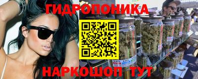 шишки Ликино-Дулёво