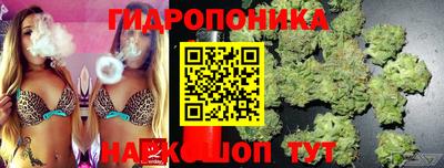 шишки Ликино-Дулёво