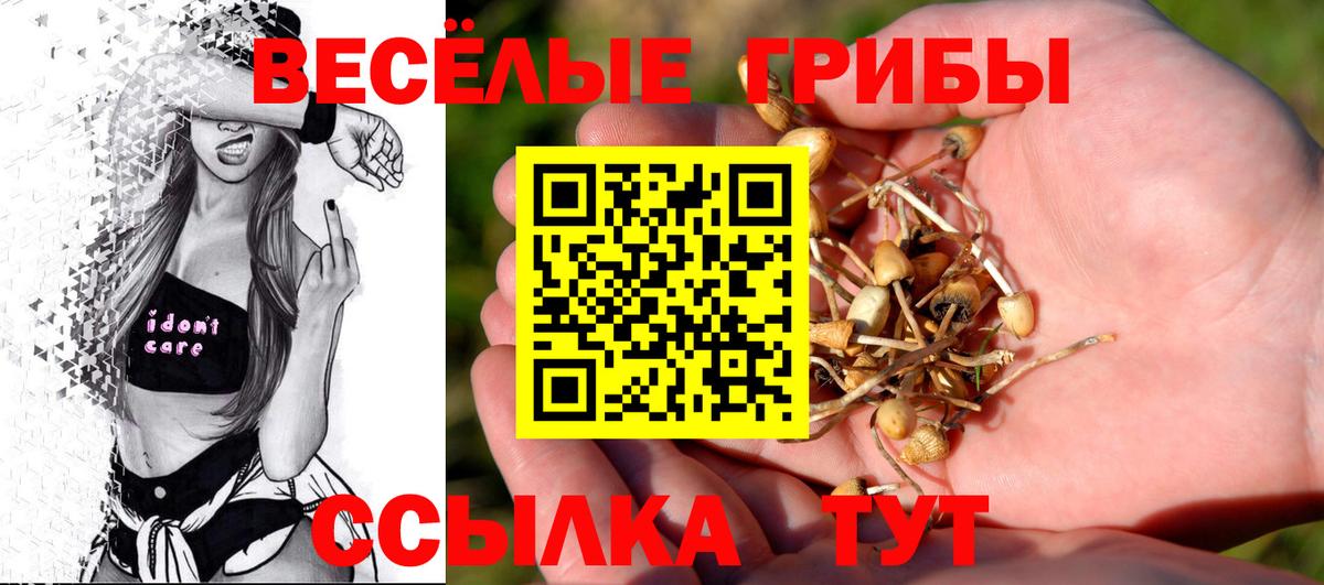 Галлюциногенные грибы GOLDEN TEACHER  Вход с VPN  Галлюциногенные грибы MAGIC MUSHROOMS  Калуга 